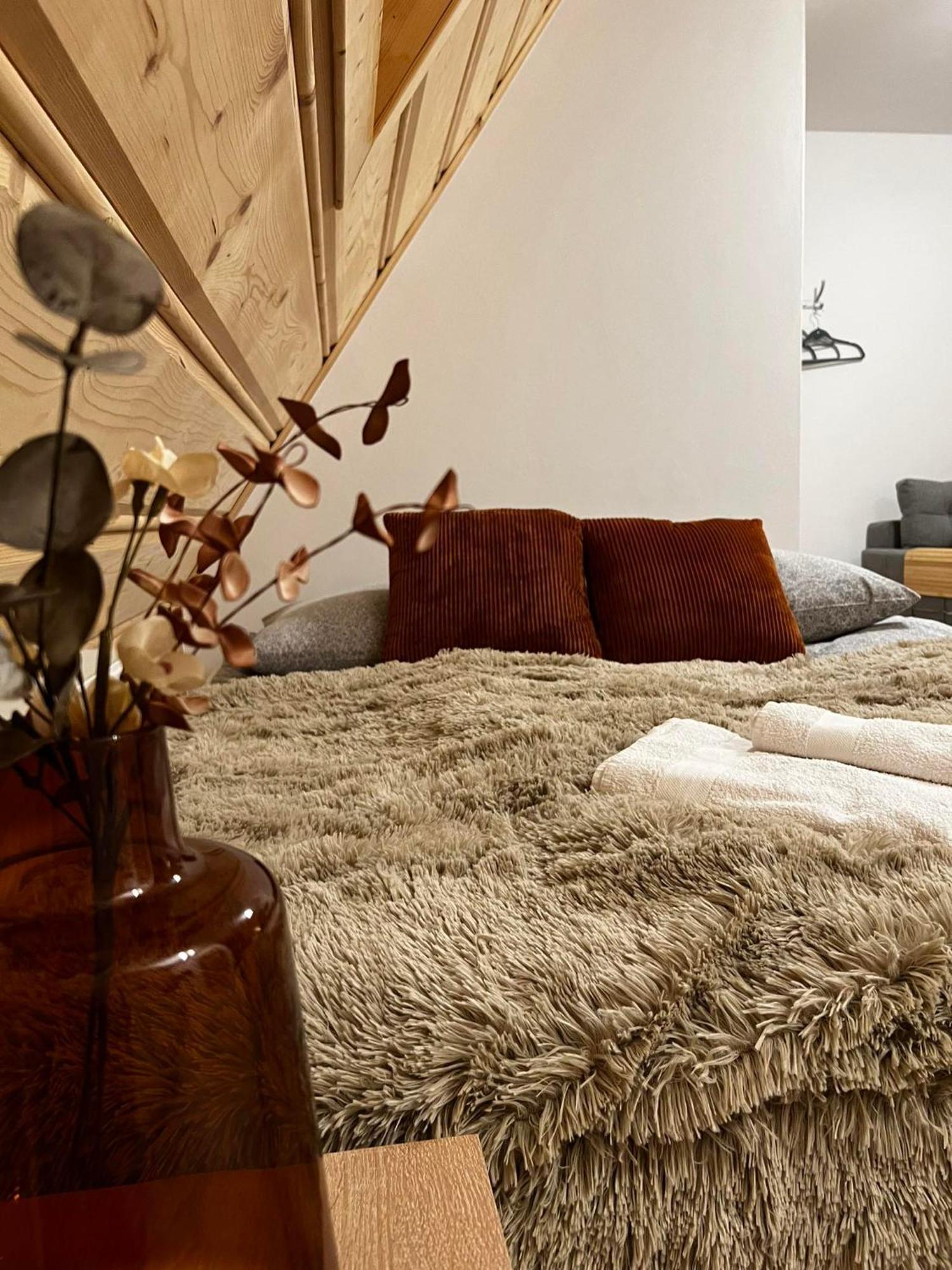 Na Tatrzanskim Szlaku Apartment
